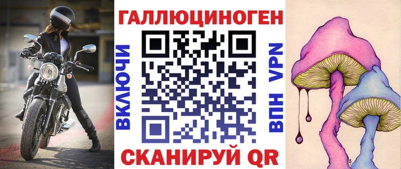 Купить  Шилка  Галлюциногенные грибы Cubensis 